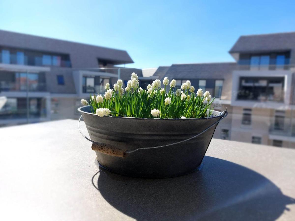 Villa Creole 0308 Luxe Appartement Met Verwarmd Zwembad Nieuwpoort Jachthaven Εξωτερικό φωτογραφία